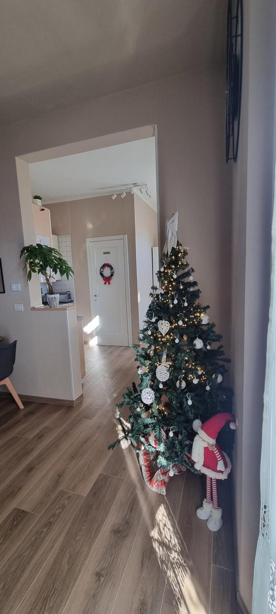 Alemanni54 - Apartment Bologne Extérieur photo